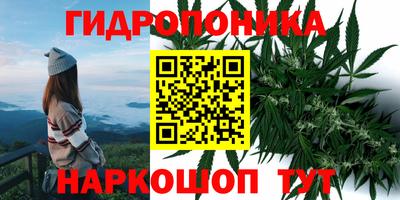 тгк Надым