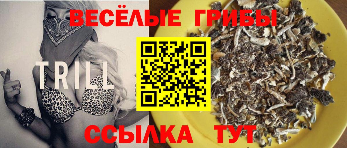 Кушва  Псилоцибиновые грибы Cubensis  Вход с VPN 