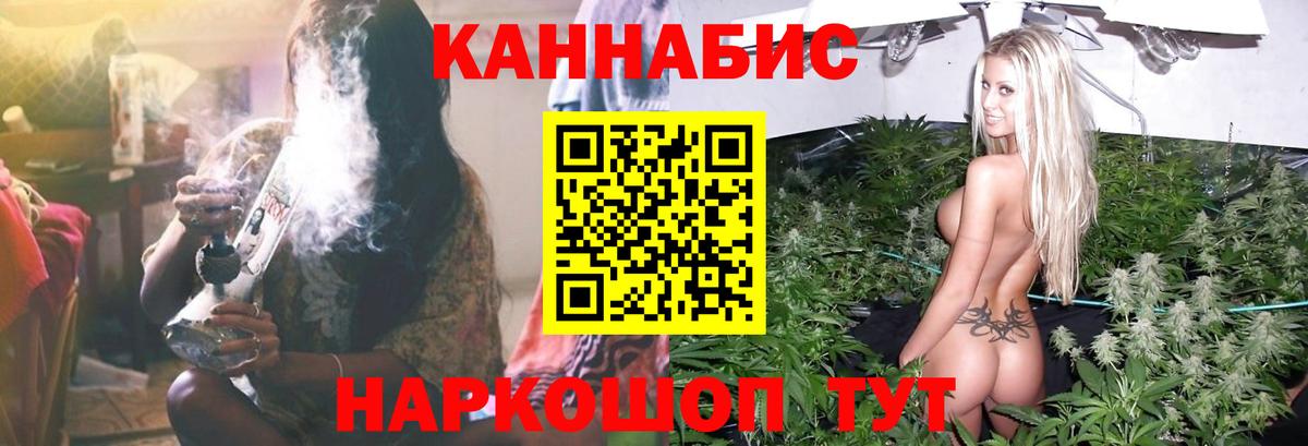Шишки марихуана планчик  Вход с VPN  Кушва  Марихуана тримм  Бошки Шишки SATIVA & INDICA  Шишки марихуана тримм 
